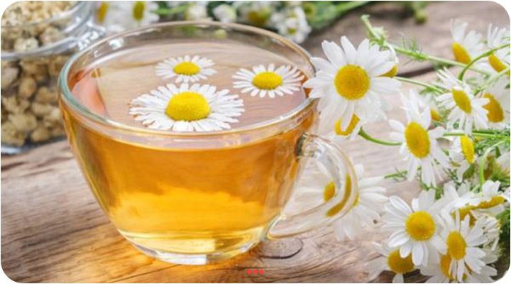 چای بابونه بهترین دمنوش برای افزایش شیر مادر